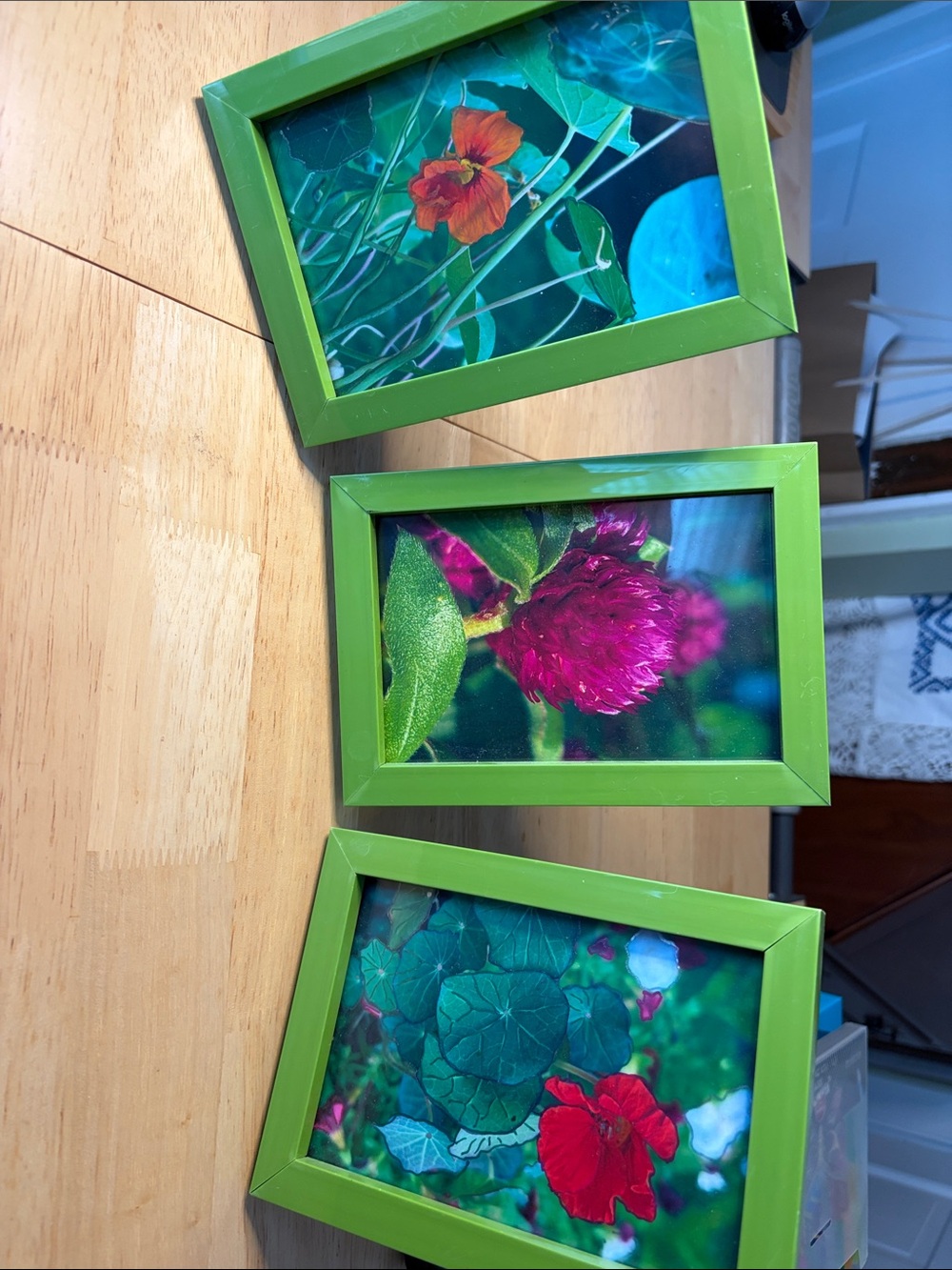 Set of Three Lime Green Framed Photos  for Wall or Shelf